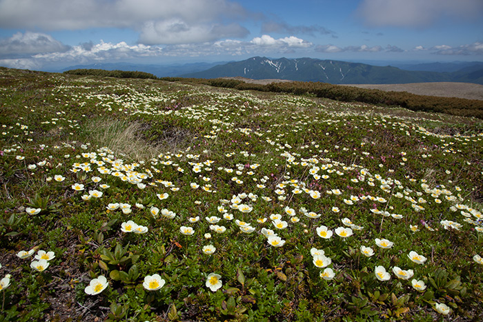 f0054366_10495437.jpg