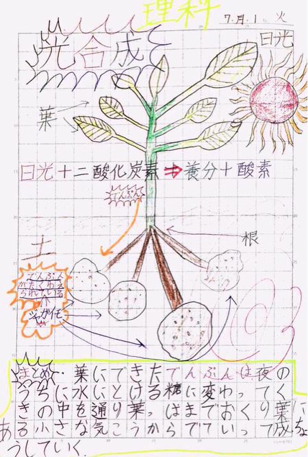 高校生じゃなくて 光合成 自学ノート