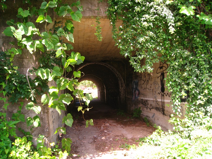 a0087378_859243.jpg