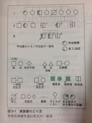 家系図の書き方 精神科で女医で