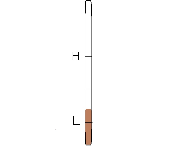 オイルの規定量とは_a0279883_18371156.jpg