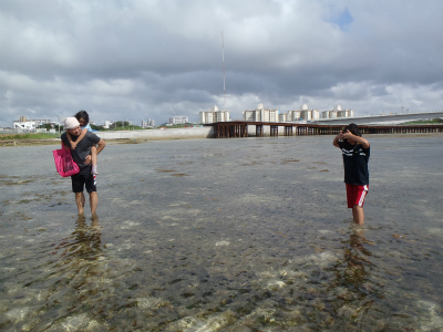 カーミージーの海で遊び隊①_f0338188_15574147.jpg