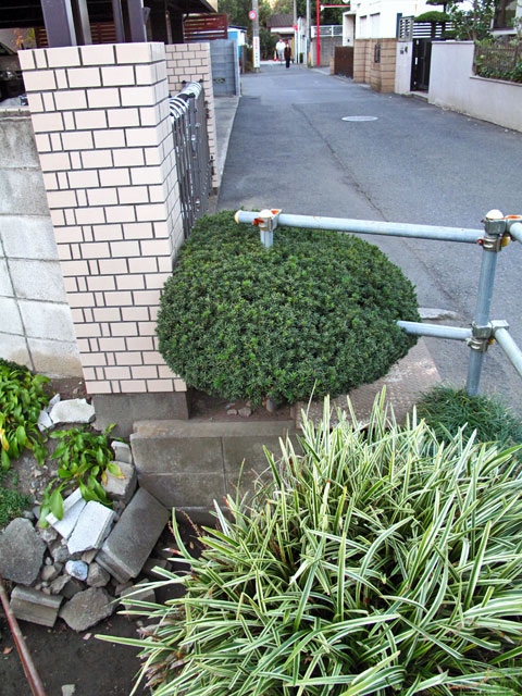 c0163001_23181566.jpg