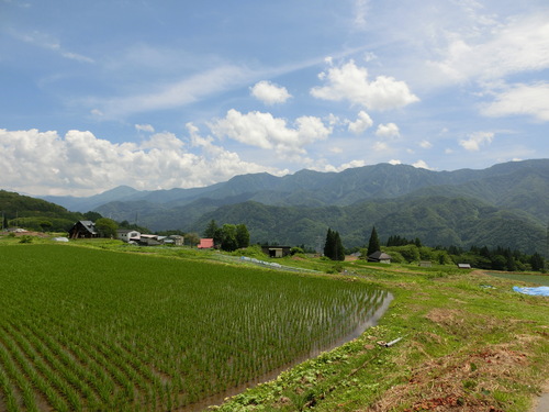 a0080406_21523653.jpg