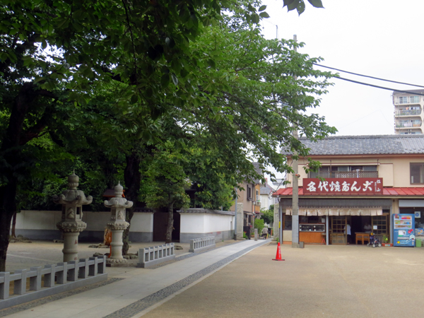 ご入居から5年 川越市K様邸_d0080906_1755237.jpg