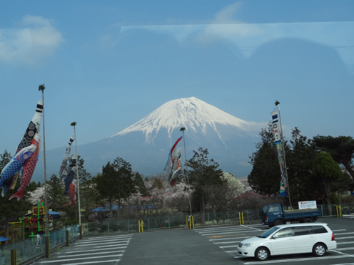 b0045709_936723.jpg
