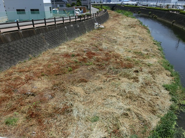 小潤井川の「草刈り清掃」とホルモン焼きの「払い」_f0141310_721517.jpg