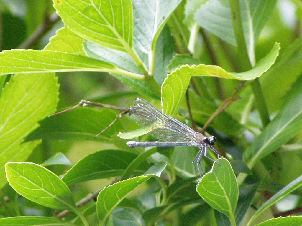 f0324510_11584638.jpg