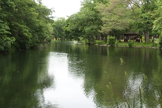 2014年7月3日（木）：どんてん［中標津町郷土館]_e0062415_18103377.jpg