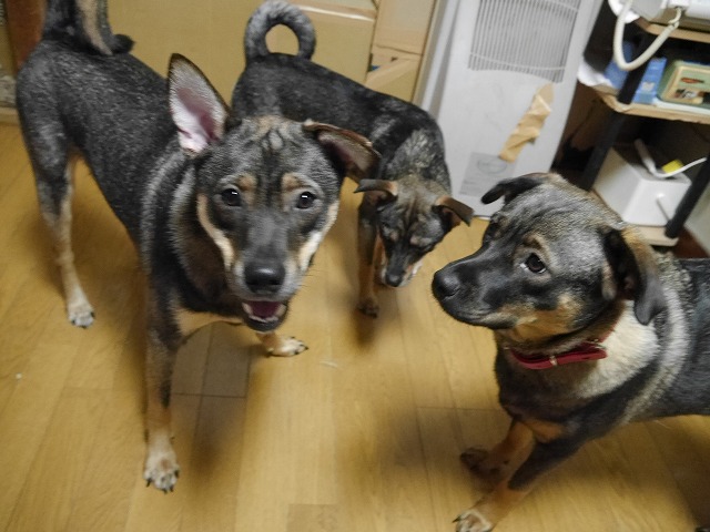 f0282319_15363963.jpg