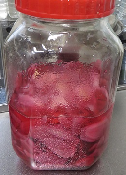 c0280322_16234633.jpg