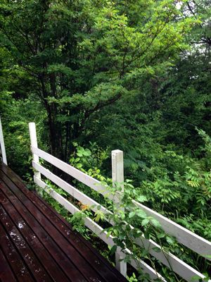 雨の朝、珈琲ゼリー_f0215324_959379.jpg