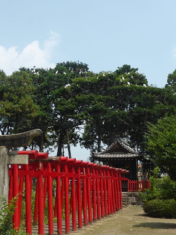 鷺撮影_c0077531_23323194.jpg