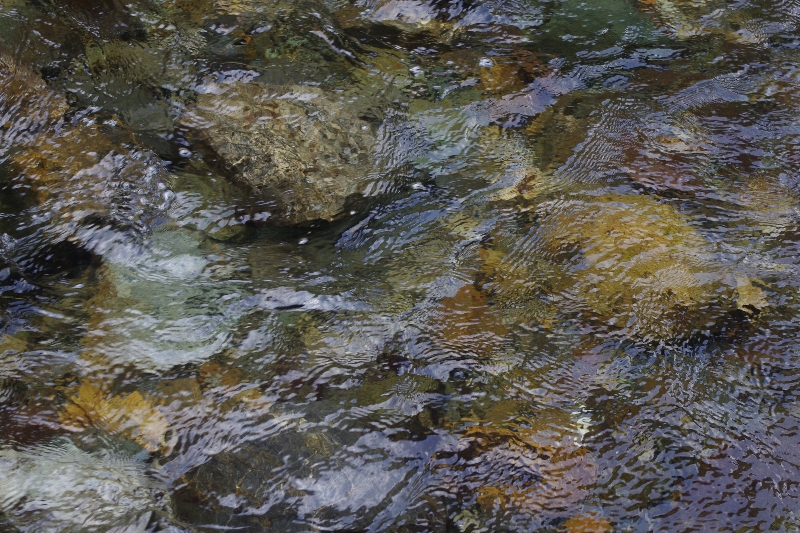 2014川開き_c0113733_23163079.jpg