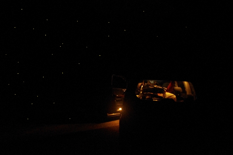 2014川開き_c0113733_23395156.jpg