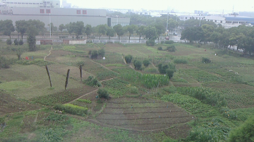 c0193136_2341143.jpg