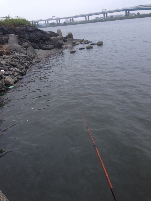 c0234439_95479.jpg