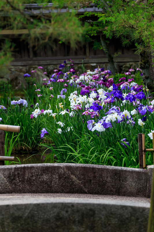 花菖蒲咲く野村碧雲荘 : 花景色-K.W.C. PhotoBlog 花菖蒲咲く野村碧雲荘 : 花景色-K.W.C. PhotoBlog