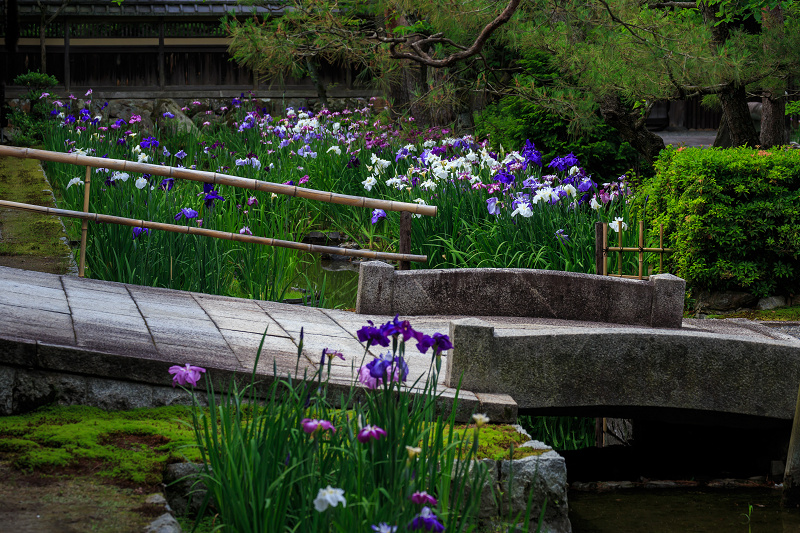 花菖蒲咲く野村碧雲荘_f0155048_2354593.jpg