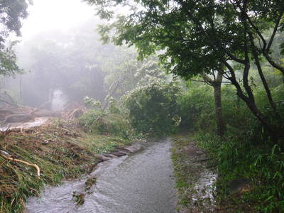 7.12北部九州大水害からまもなく2年・・・ 今日はあの時を思いださせるような豪雨でした _a0254656_179090.jpg