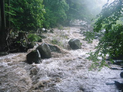 7.12北部九州大水害からまもなく2年・・・　今日はあの時を思いださせるような豪雨でした _a0254656_18354020.jpg