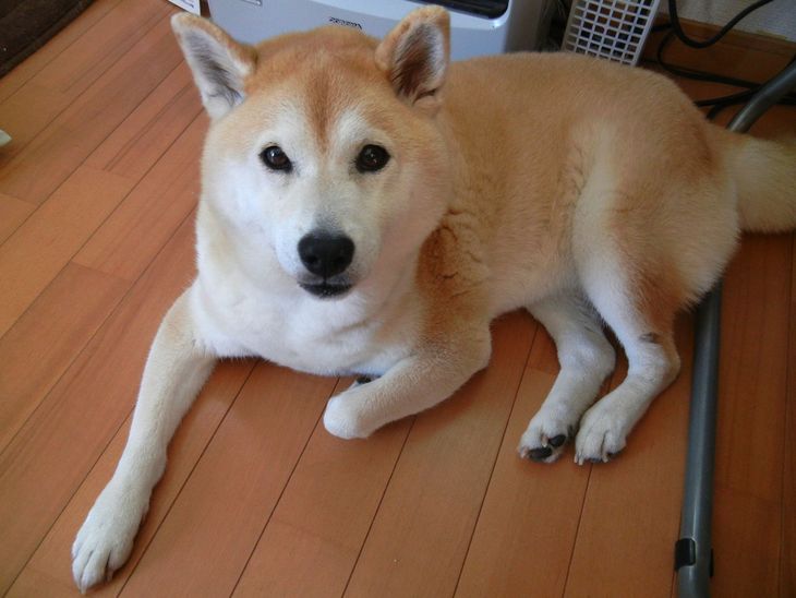 ’14.7.3(木)涼しきかな勝浦は~!_f0060461_9165988.jpg