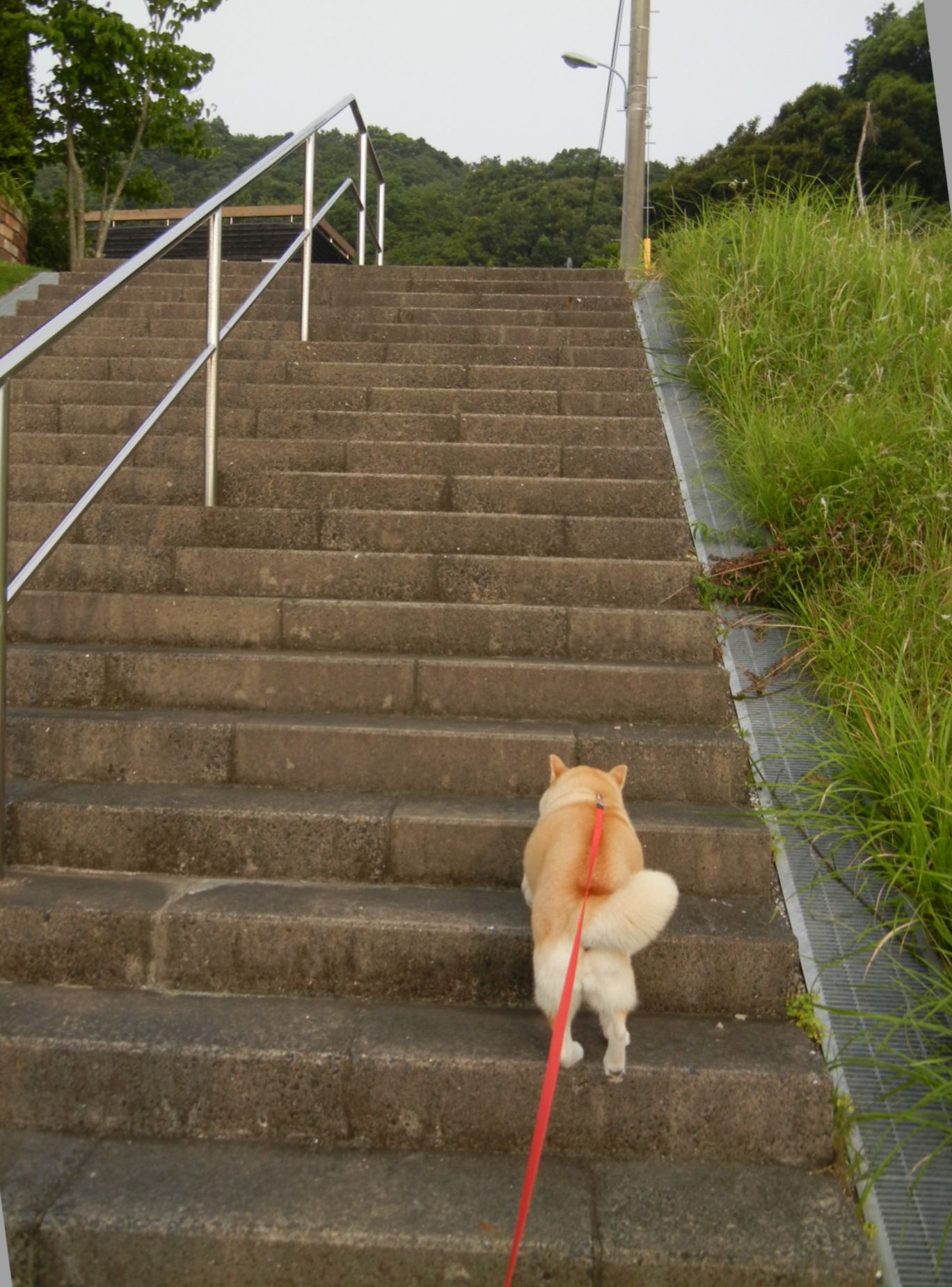 ’14.7.3(木)涼しきかな勝浦は~!_f0060461_9254100.jpg
