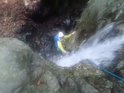 d0110562_202419.jpg
