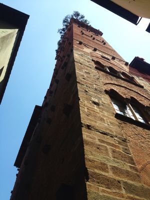 e0009662_1638157.jpg