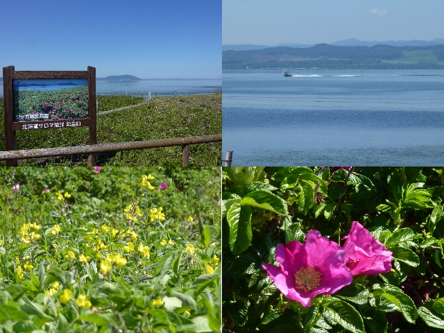 2014夏　北海道家族旅行　花咲港でカニを食べる編_f0350468_18273197.jpg