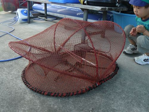 タコ獲ったどー!(タコカゴ) : 海の仕立て屋 浦田帆屋4代目日記! タコ獲ったどー!(タコカゴ) : 海の仕立て屋 浦田帆屋4代目日記!