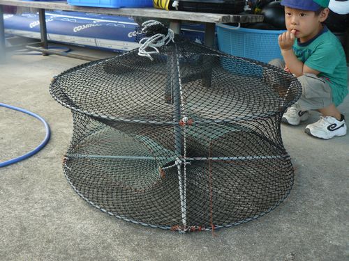 タコ獲ったどー!(タコカゴ) : 海の仕立て屋 浦田帆屋4代目日記! タコ獲ったどー!(タコカゴ) : 海の仕立て屋 浦田帆屋4代目日記!