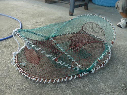 タコ獲ったどー!(タコカゴ) : 海の仕立て屋 浦田帆屋4代目日記! タコ獲ったどー!(タコカゴ) : 海の仕立て屋 浦田帆屋4代目日記!