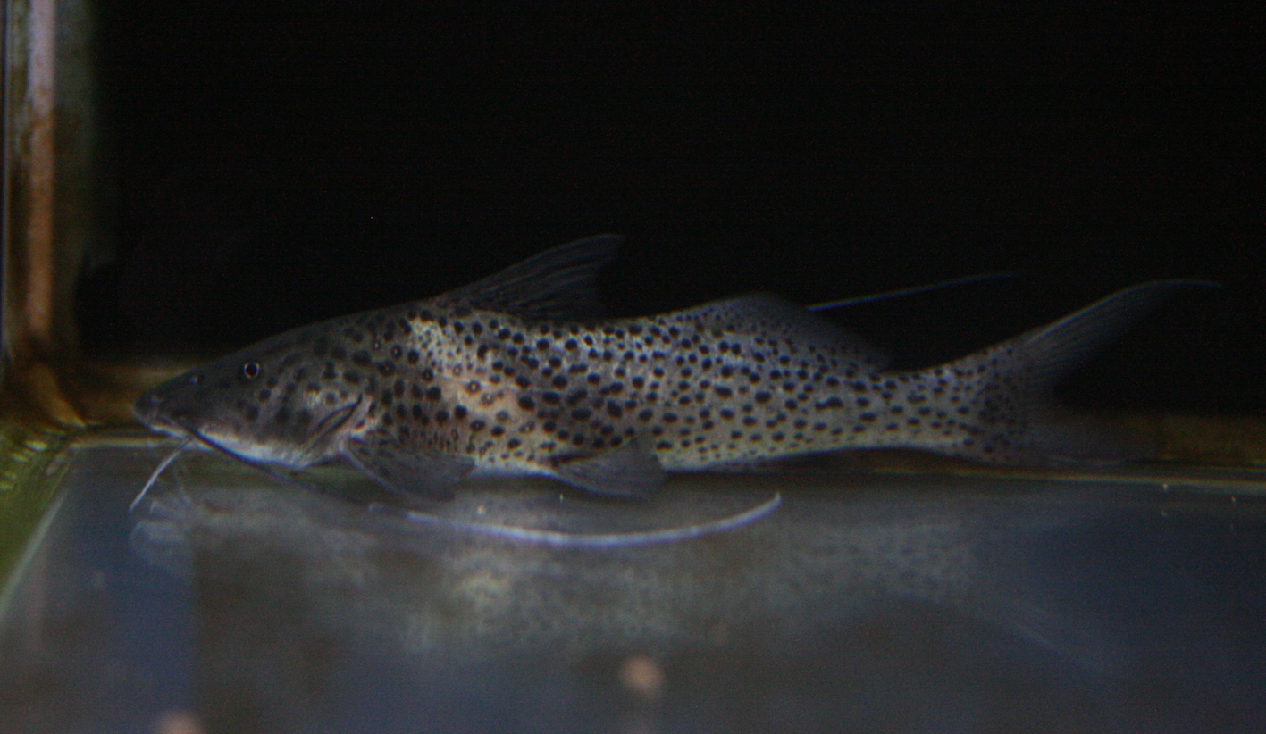 c0165800_2115375.jpg