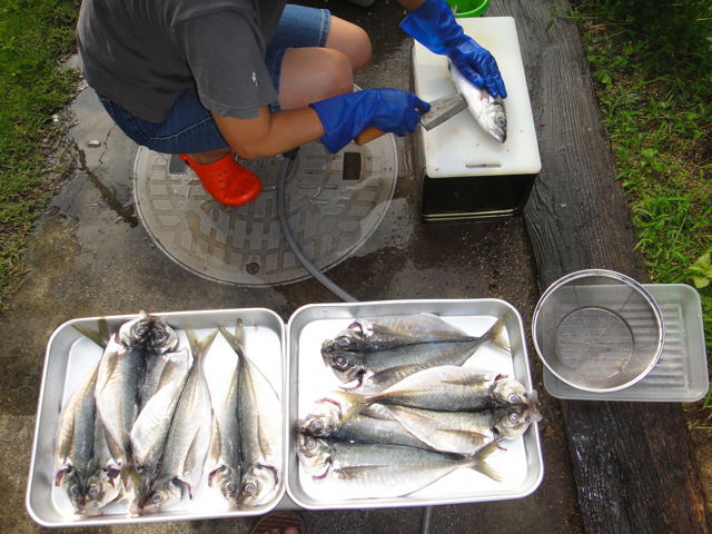 e0128918_1042185.jpg