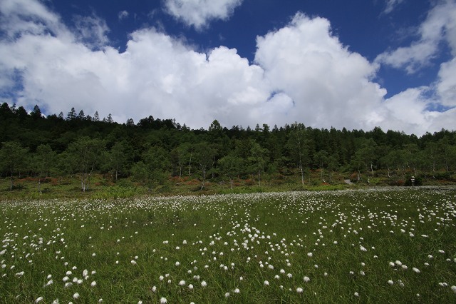 e0242721_17103430.jpg