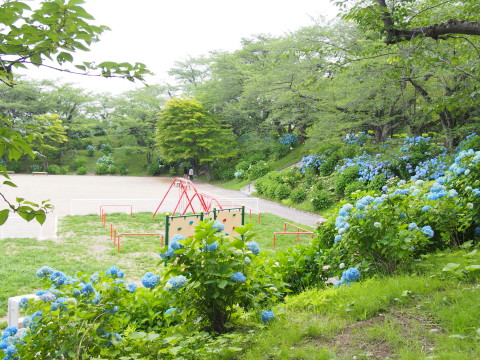 b0147224_1755763.jpg