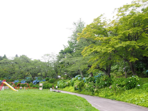 b0147224_177178.jpg