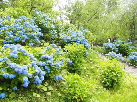 b0147224_1782280.jpg