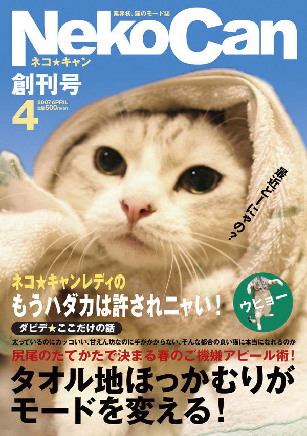 猫ファッション誌 ご褒美はかつお節で