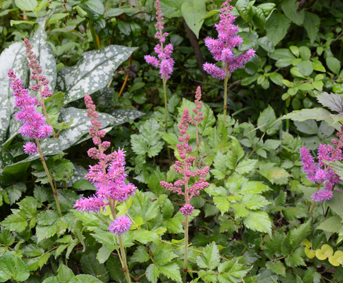 c0107129_2251447.jpg