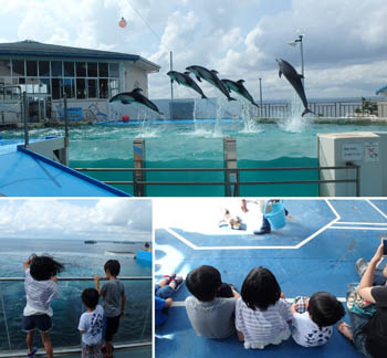 能登島水族館・白山登山（旦那）_f0217229_21572094.jpg