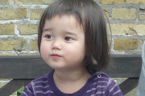b0109054_5274132.jpg