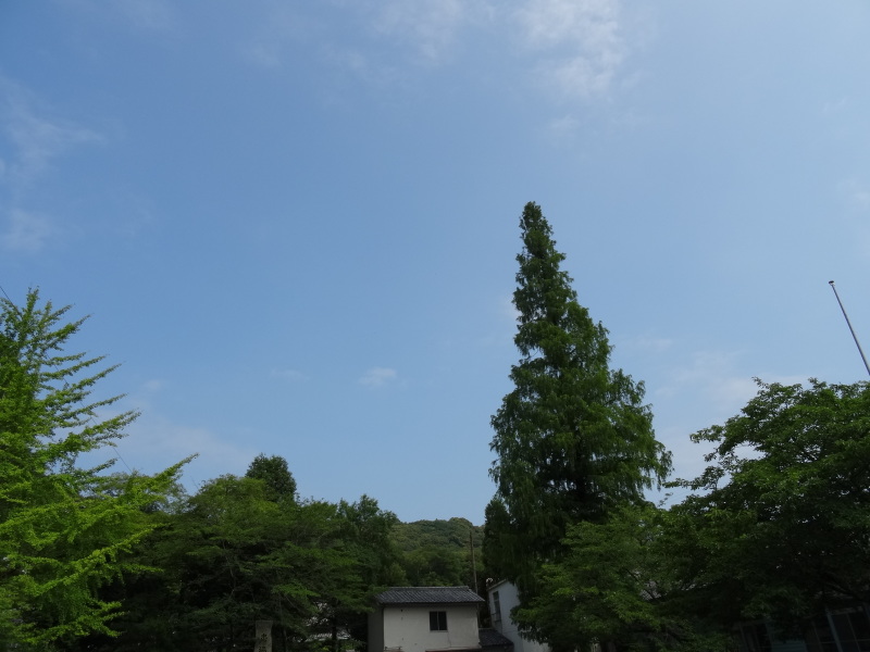 c0108460_20205643.jpg