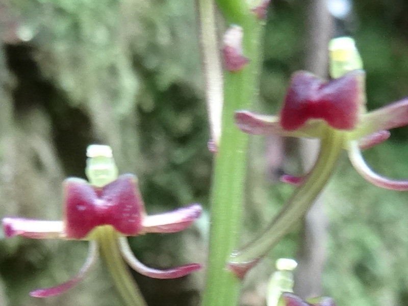 c0108460_20281327.jpg