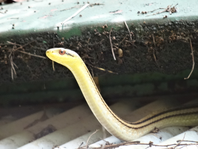 c0108460_20281631.jpg