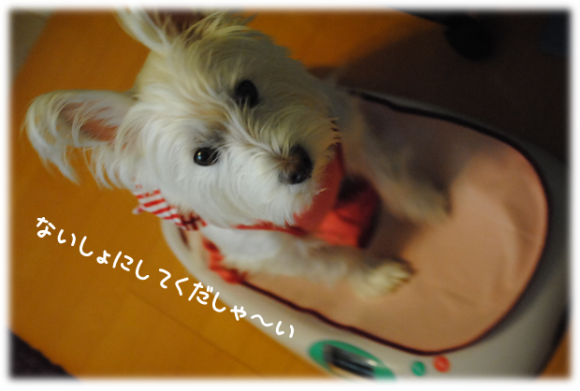 b0242873_14084461.png