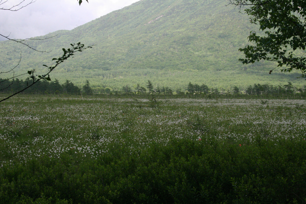 e0118274_2035246.jpg