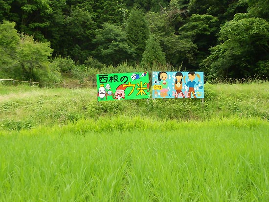 7月4日の田んぼ(月光原小・西根小)_d0247484_13535631.jpg