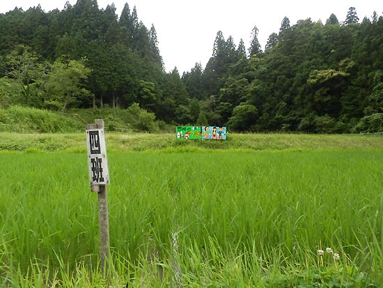 7月4日の田んぼ(月光原小・西根小)_d0247484_13542278.jpg